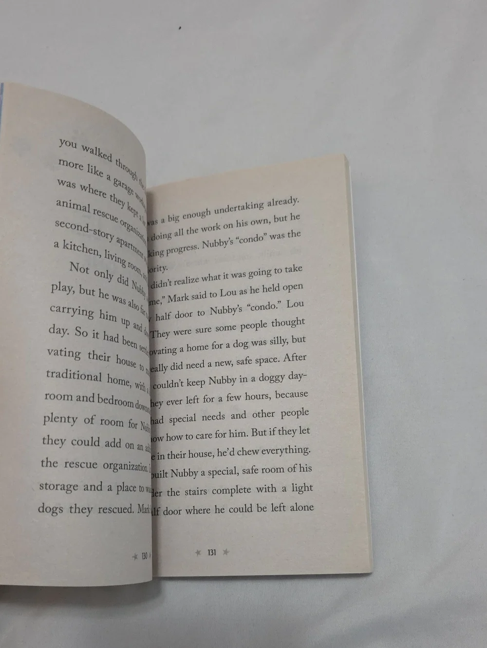 Scholastic Nubby's Story